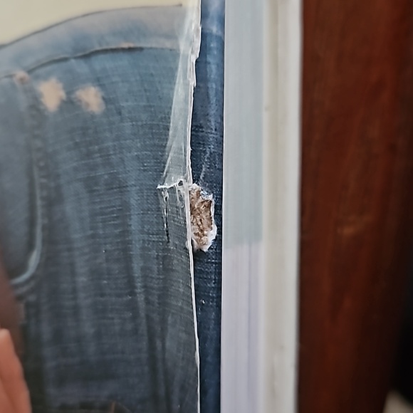 RACHAEL RAY's Classic 30-Minute Meals Cookbook-2006 Hardback w/Jacket-VGC - Picture 3 of 3